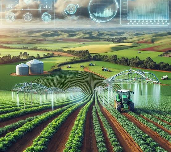 South Africa’s Agriculture Innovation Roadmap Nears Completion: What It Means for Farmers South Africa’s Agriculture Innovation Roadmap Nears Completion: What It Means for Farmers