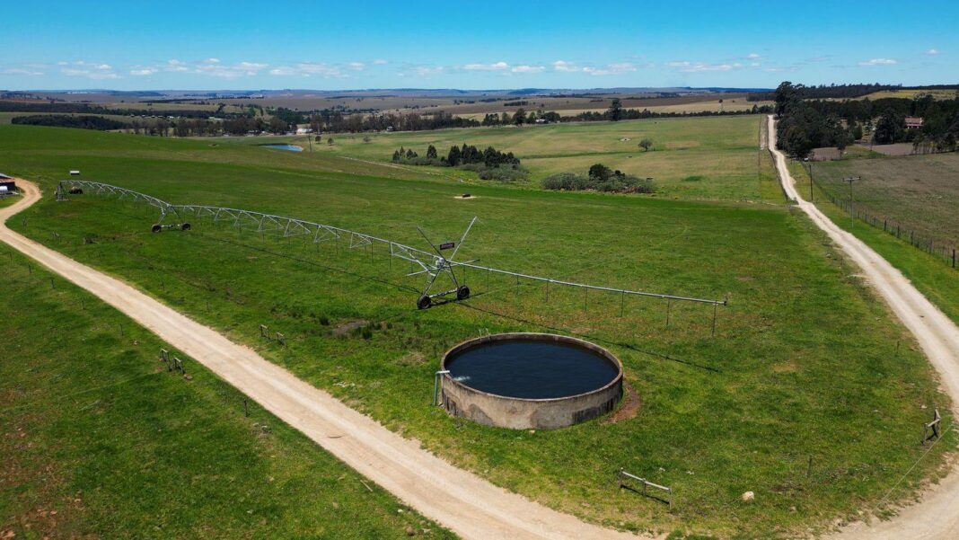 South Africa Targets 2.5 Million Hectares for New Generation of Commercial Farmers South Africa Targets 2.5 Million Hectares for New Generation of Commercial Farmers